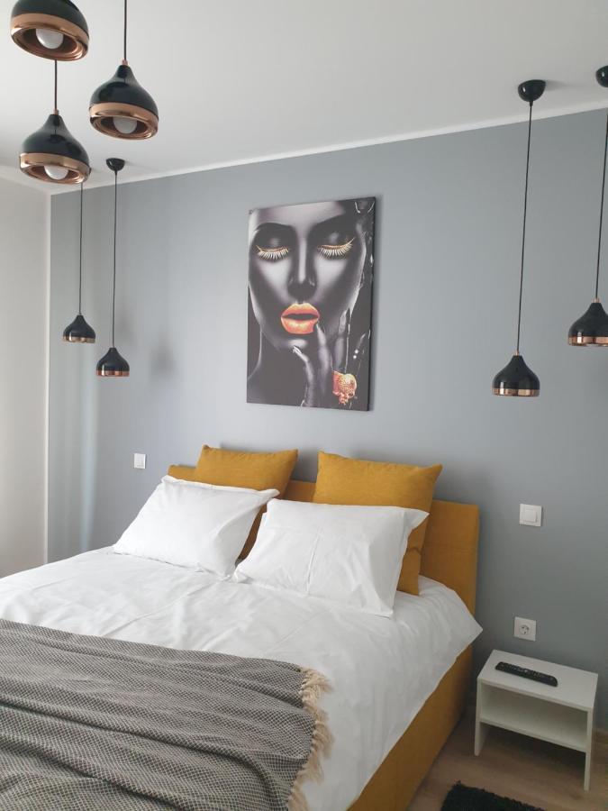 Qualis Apartament Брашов Экстерьер фото